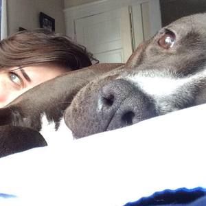 Meet your Posher, Riley